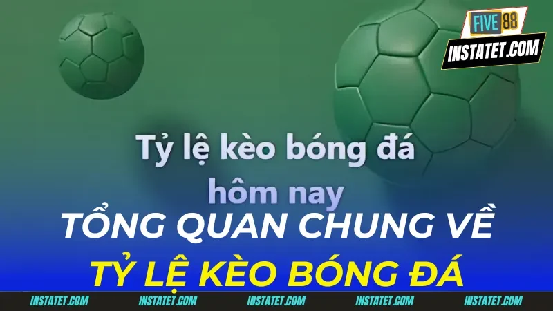 Khám Phá Những Tỷ Lệ Kèo Bóng Đá Ấn Tượng Nhất 2024 tỷ lệ kèo bóng đá